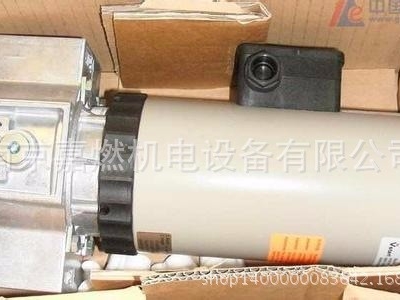 DUNGS>燃?xì)?雙級(jí)電磁閥>ZRDLE420（RP2