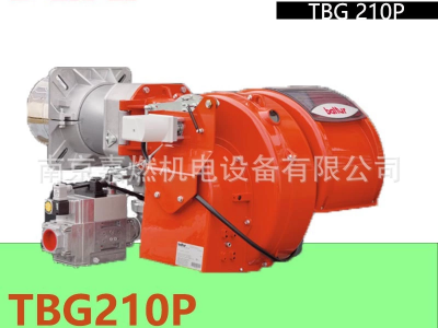 百得BALTUR>燃?xì)馊紵?二段火> TBG210P