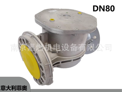 FIO>菲奧>燃?xì)饪諝?過(guò)濾器>10608/F(DN80)