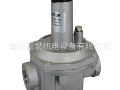 集咖>GECA>燃?xì)庹{(diào)壓閥>RG025-2B 1"